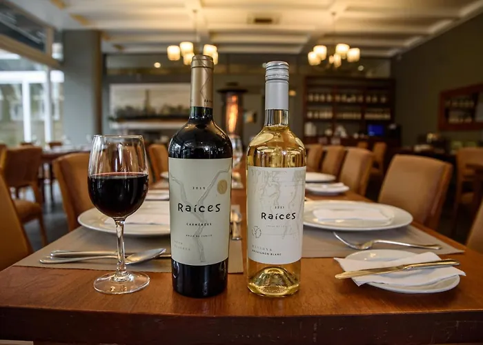 Hotel Boutique Raices