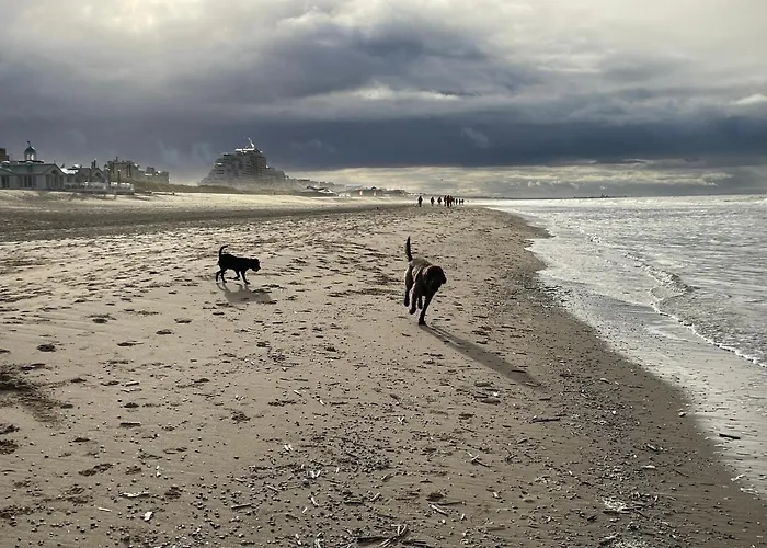 ZeeBedStay