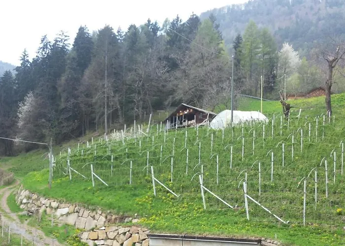 Neuhäusl-Hof
