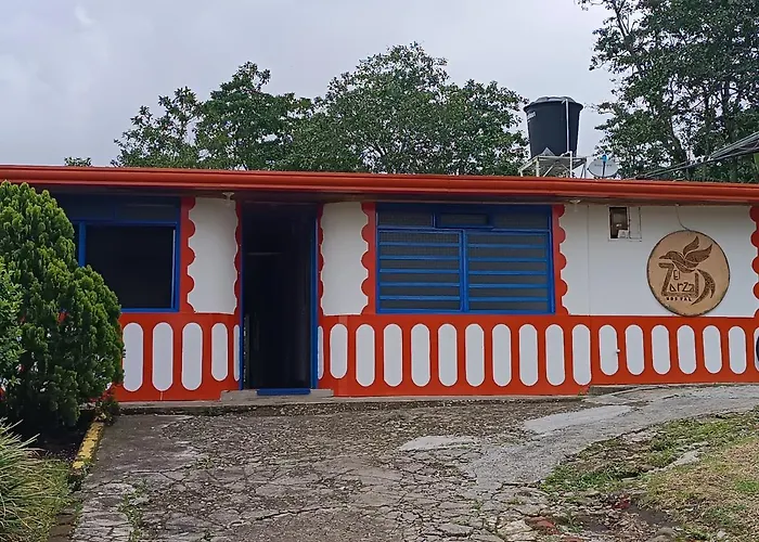 El Zorzal