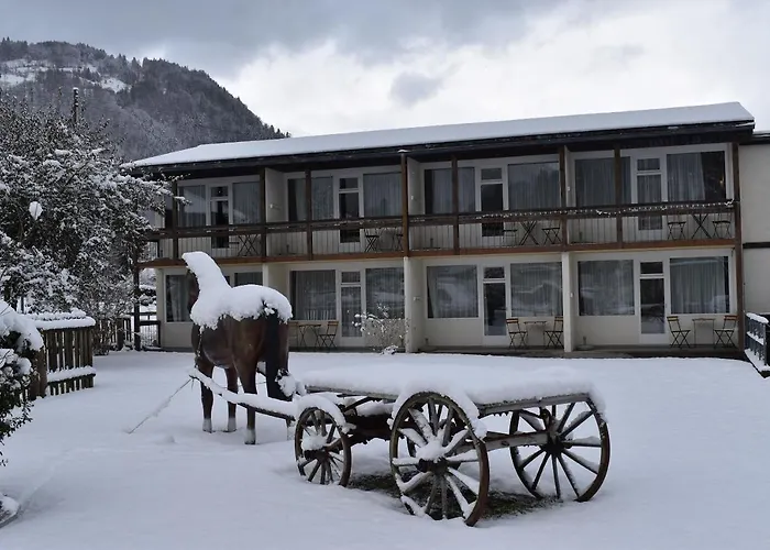 Alpine-Inn by Jungfrau Hotel