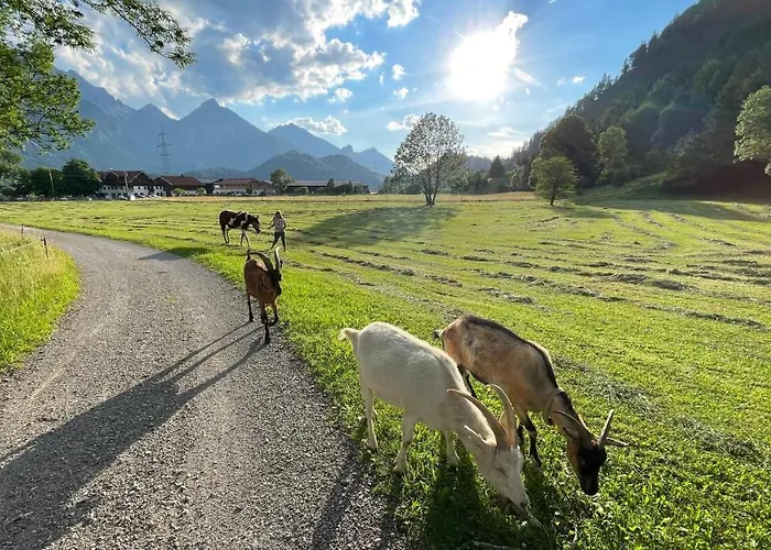 Gutshof zum Schluxen