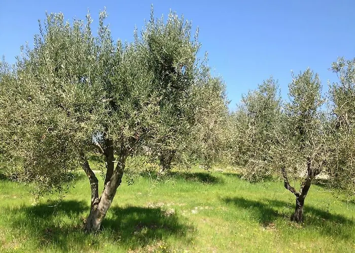 Il Melo