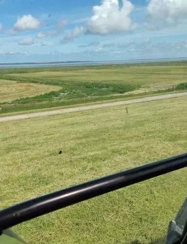 Erholung auf der Deichschäferei mit Deichblick