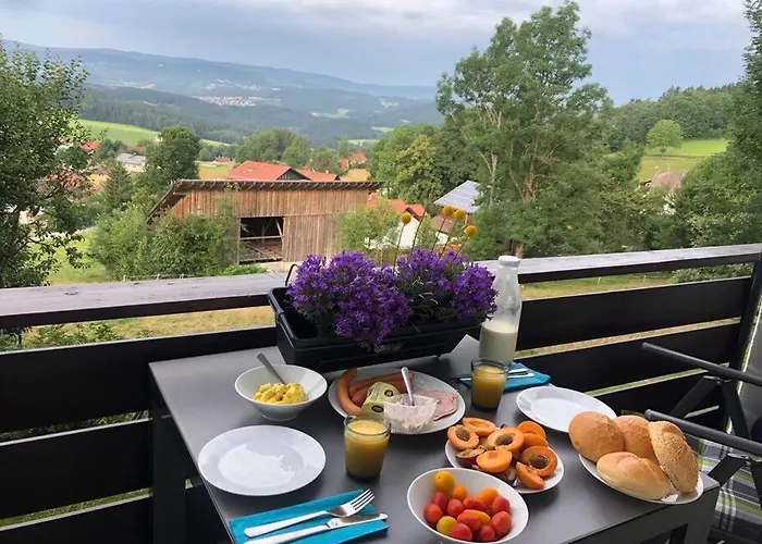 Apartment Tälerblick Maxi -neu modernisiert-