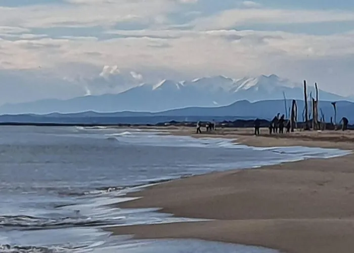 T2 Cosy A La Plage, Terrasse Vue Sur Mer Et Parking Privatif