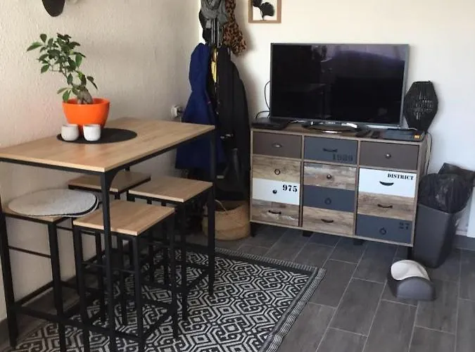 Appartement T2 27M² Meuble, Vue Mer A 50M De La Plage