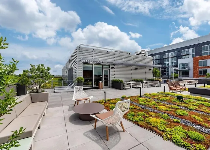 Gorgeous 1 Bedroom At Clarendon With Gym And Rooftop
