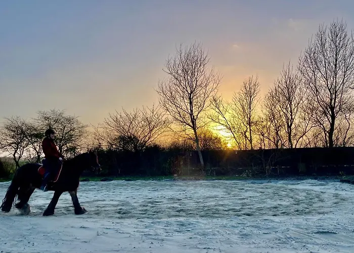 Het Tinkerparadijs, Paarden, Rust En Ruimte.