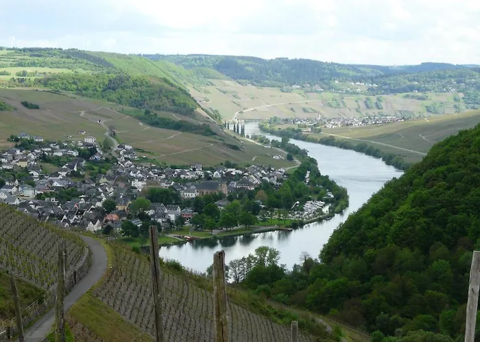Ferienwohnung  Wein unter Palmen