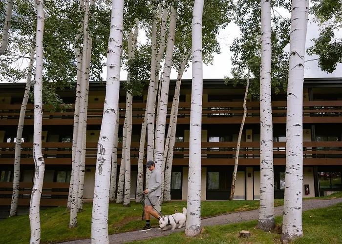 Wildwood Snowmass
