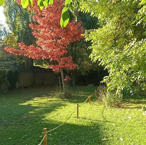 Las Tejuelas - B&B Patagonico