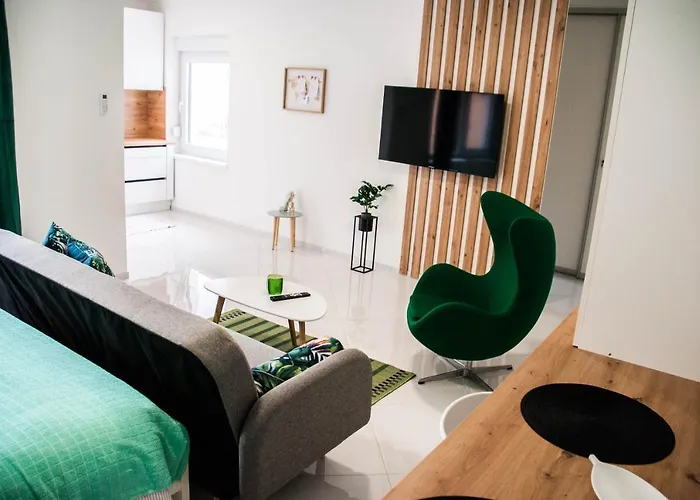 Apartments Lisinski - Free Private Parking