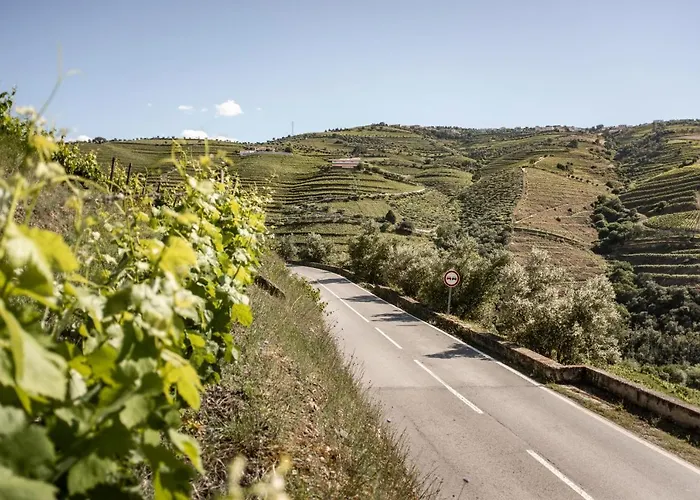 Original Douro Hotel