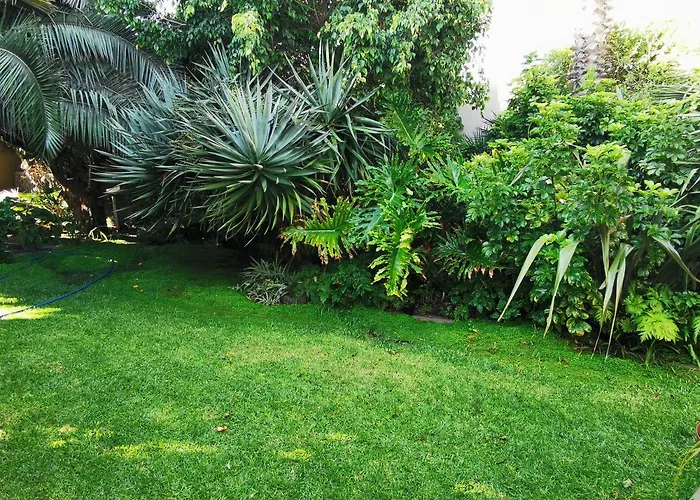 Mulberry Gardens Self Catering