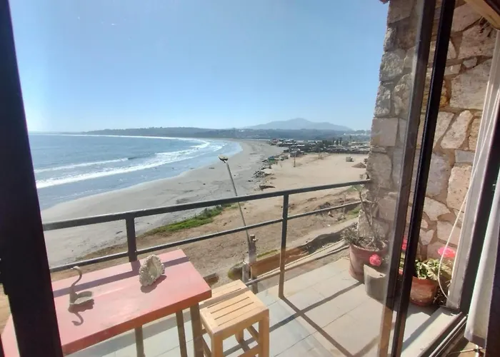 Pingüino en la roca - Concón