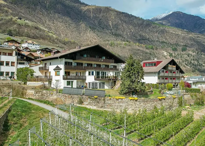 Pension Apartments Pardell