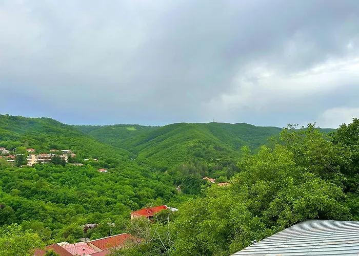Hotel Vim In Sighnaghi