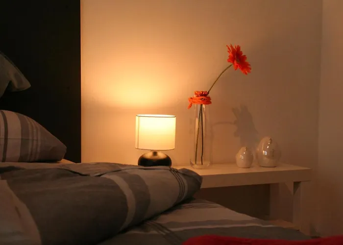 Ferienwohnung Dachshübel