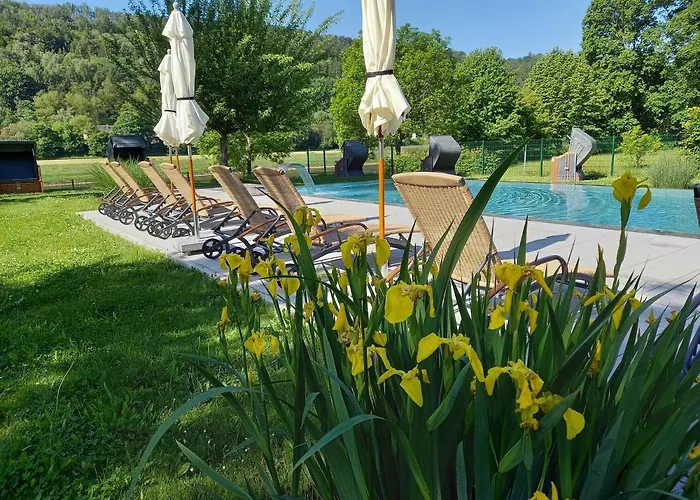 Parkhotel Bad Schandau - direkt an der Elbe