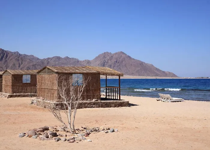 New Droub Camp