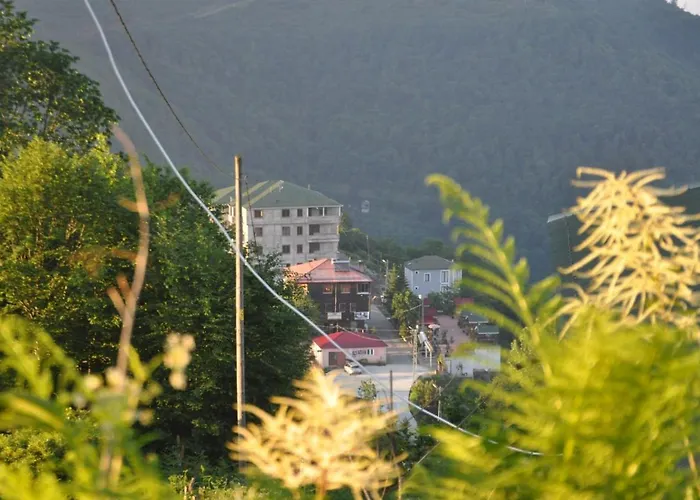Sirt Butık Hotel