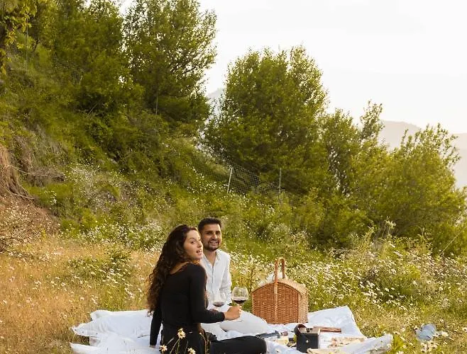 Minimalist : An Eco Farmstay