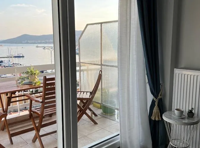 FZin Suite