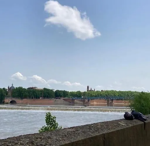 Charmant T2 Dans Toulouse
