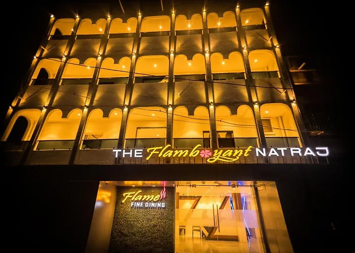 The Flamboyant Natraj