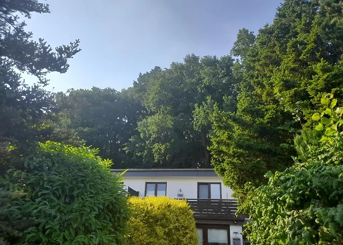 Apartment am Waldrand 1 Person Nichtraucher Gemütlich und ruhig