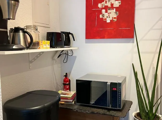 Modern Private Apartment Feldkirch with Kitchen, WiFi&Parking