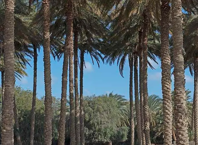 Anantara Al Yamm