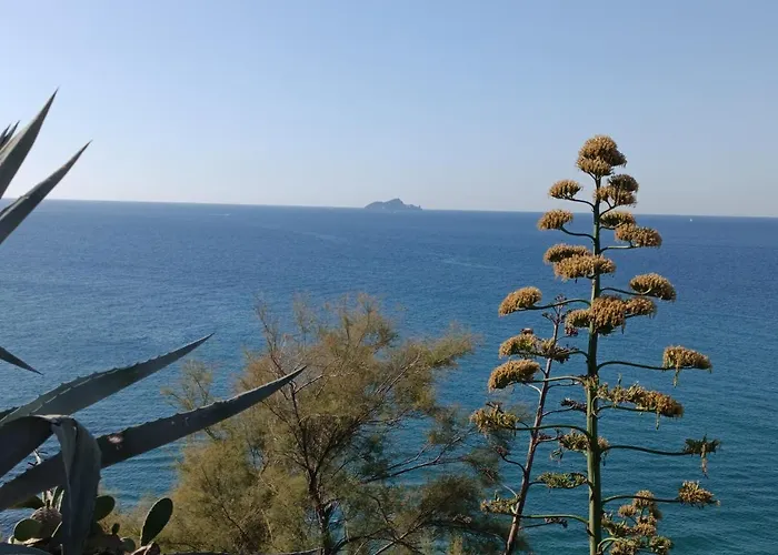 La Vista Storica
