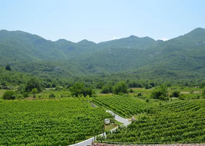 Markovic Winery And Estate Apartments