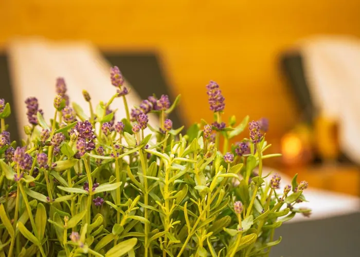 Leidenschaft und SPA in Triberg