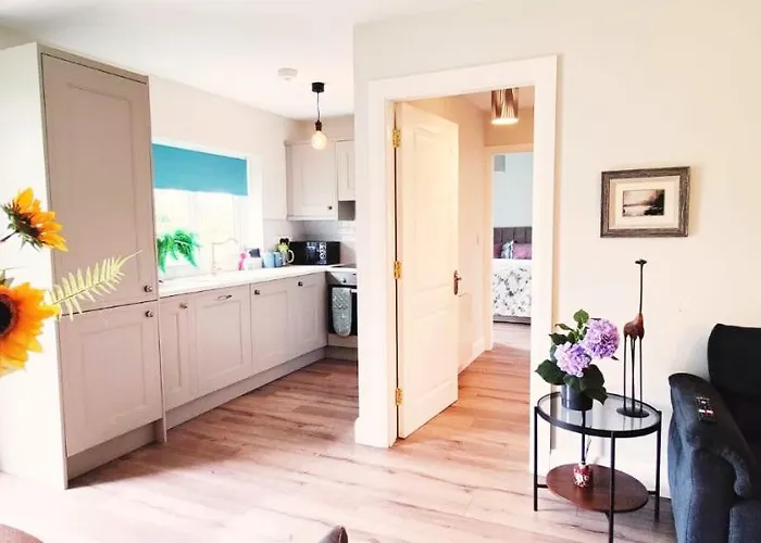 Butterfly Guesthouse - Entire Home Within 5Km Of Galway City