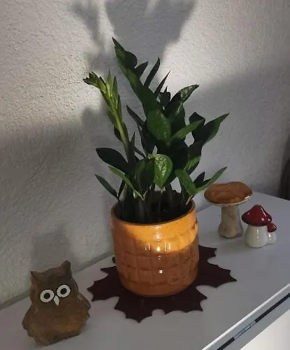 ruhige Sout. Whg. Feldrandnähe