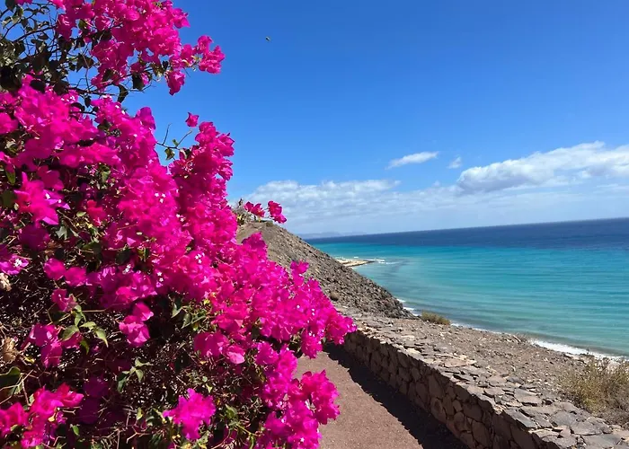 Apartamento Vista Mar ,Playas De Jandia Esquinzo