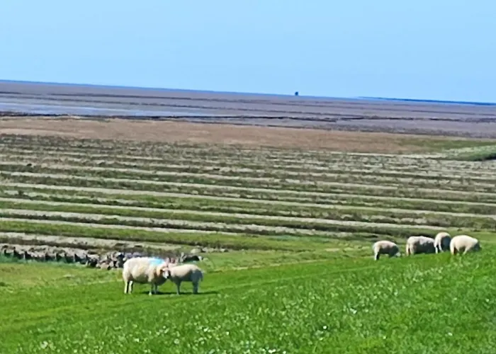 Ferienwohnung in Niebüll, Kreis Nordfriesland
