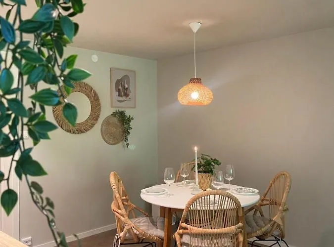 Cozy And Newly Renovated Appartment