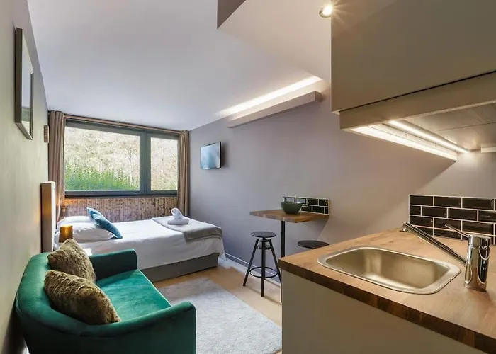 Fantastic Studio By The Lake With Mountain View