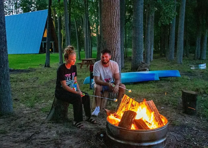 Life'S A Hoot