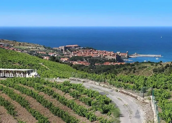 Charmant T2 Au Calme Avec Vue Mer, Proche Centre De Collioure Et Parking
