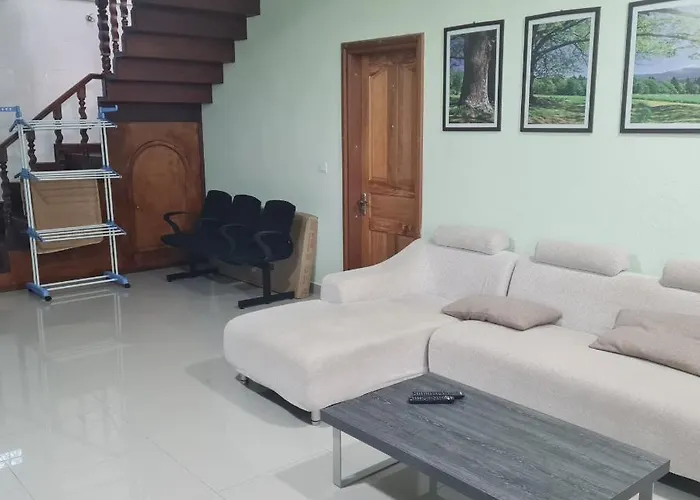 Aanirustayinn