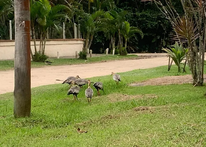 SUÍTE PRIVATIVA RIVIERA&ITAGUARÉ 100mts de 2 praias!