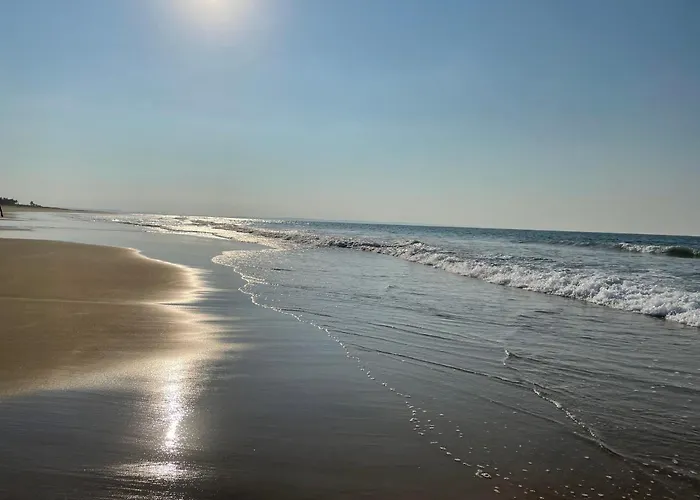 Umbila:Barra