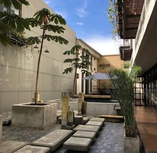 La Primera En La Candelaria