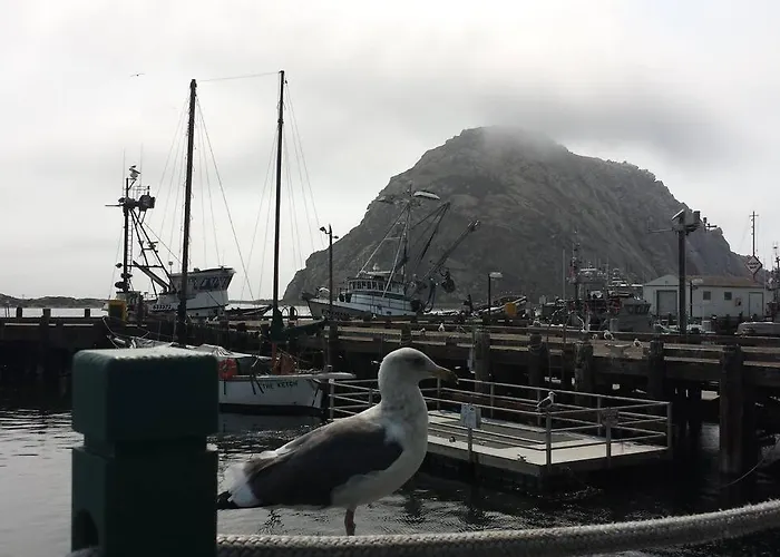 Harbor House In Morro Bay