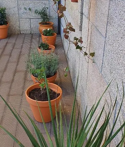 O terraço florido